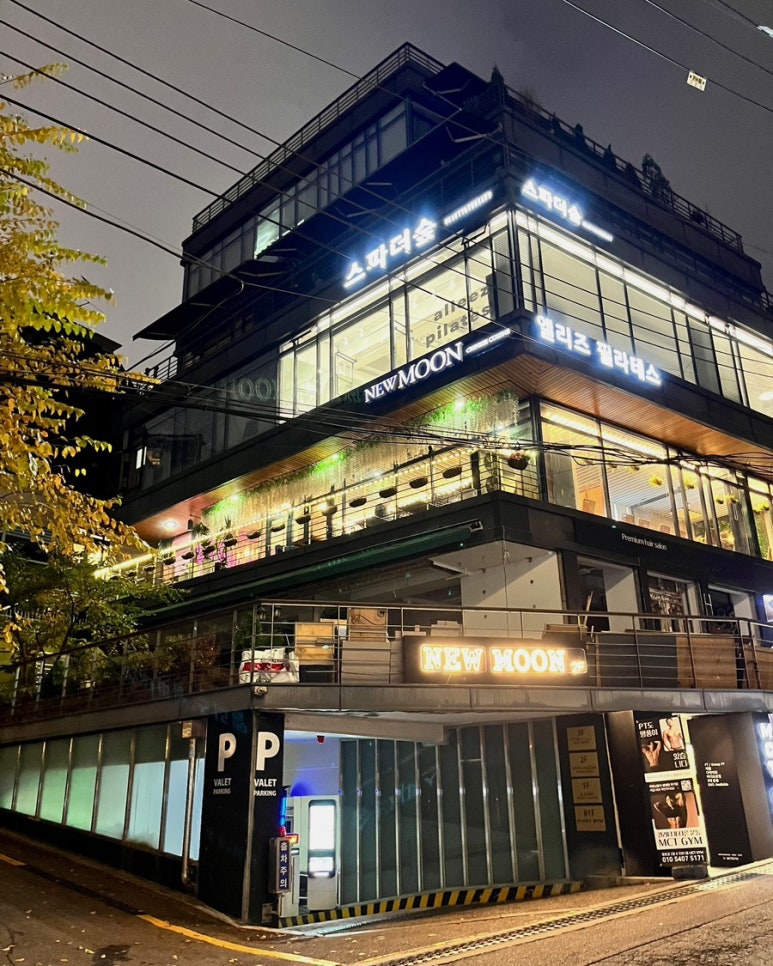 스파더숲 이미지