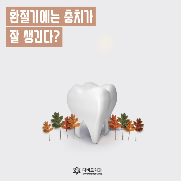 다비드치과 이미지