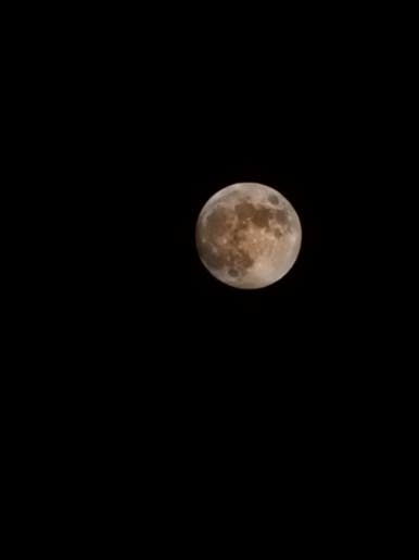 성예 이미지