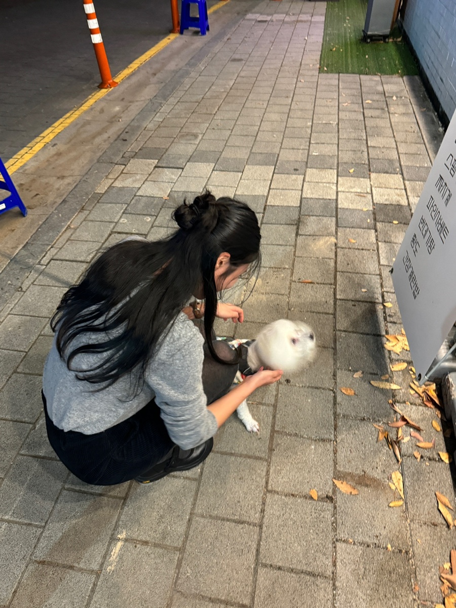 해피모먼트 이미지