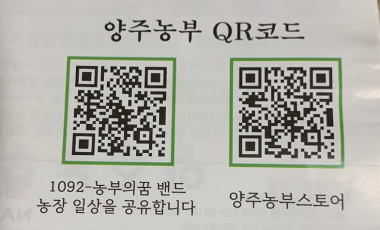 짱야채 이미지