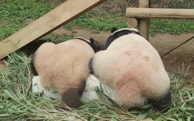 독일베이커리 이미지