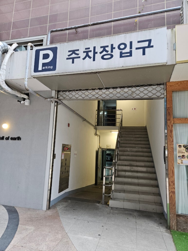 스테인동백 이미지