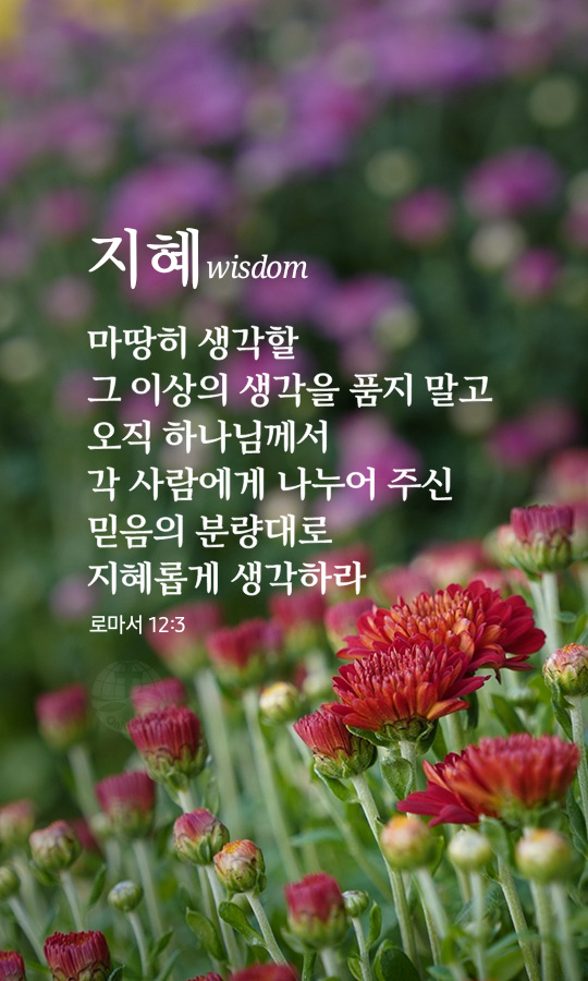 (주)지혜 이미지