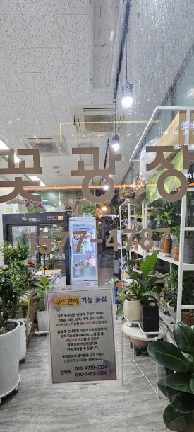 마곡꽃광장 이미지