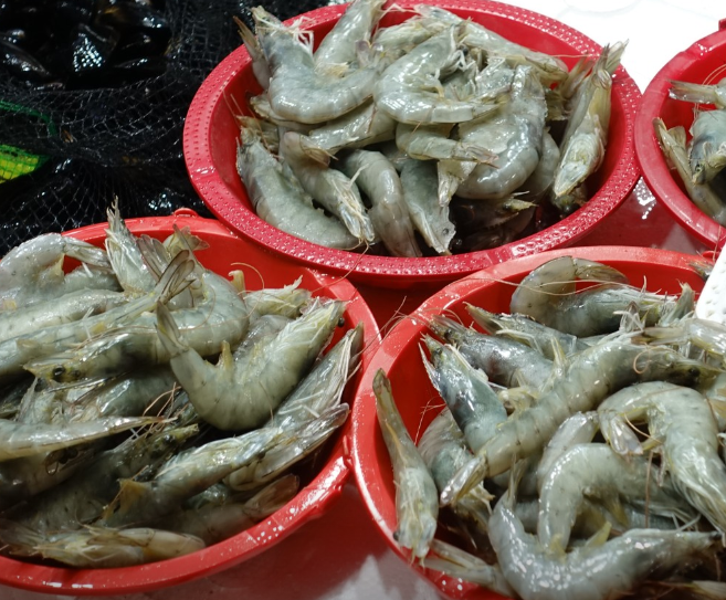 늘푸른수산 이미지