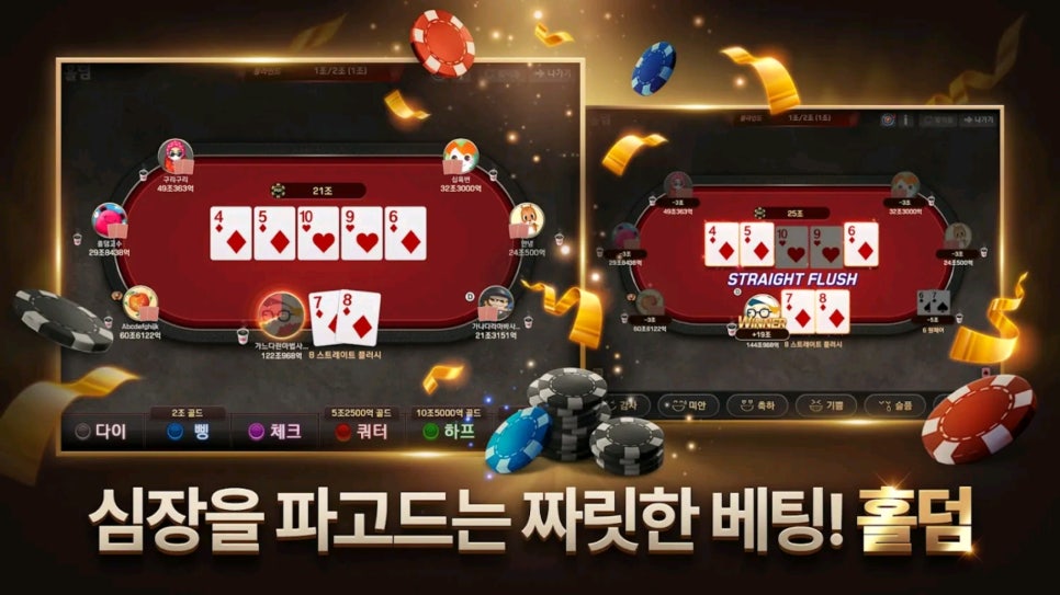 레이즈홀덤 이미지
