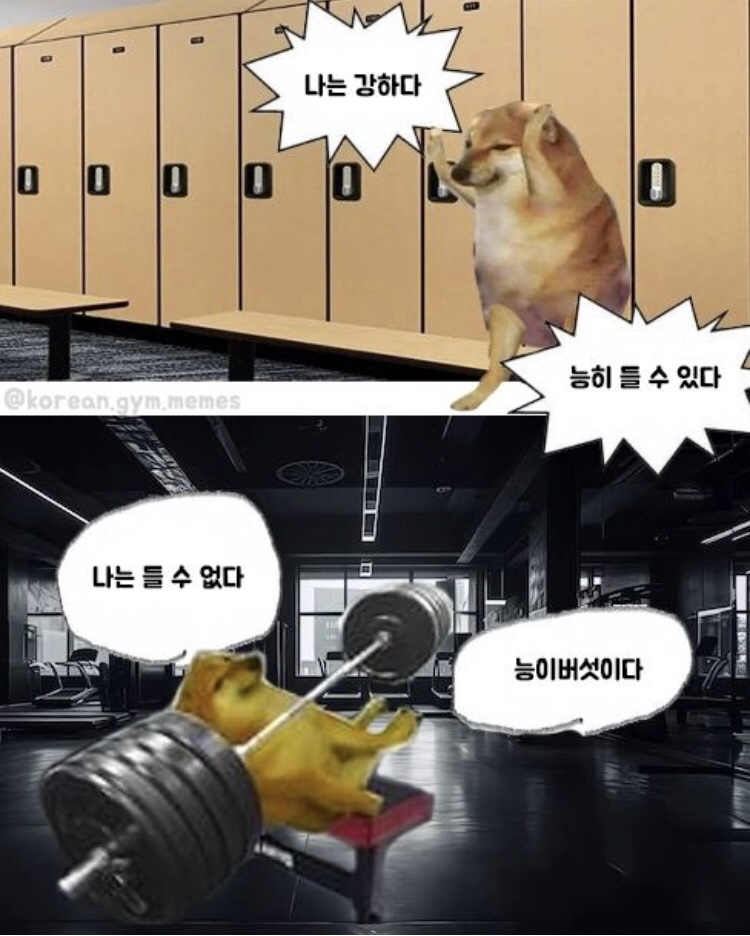 포그로스 이미지