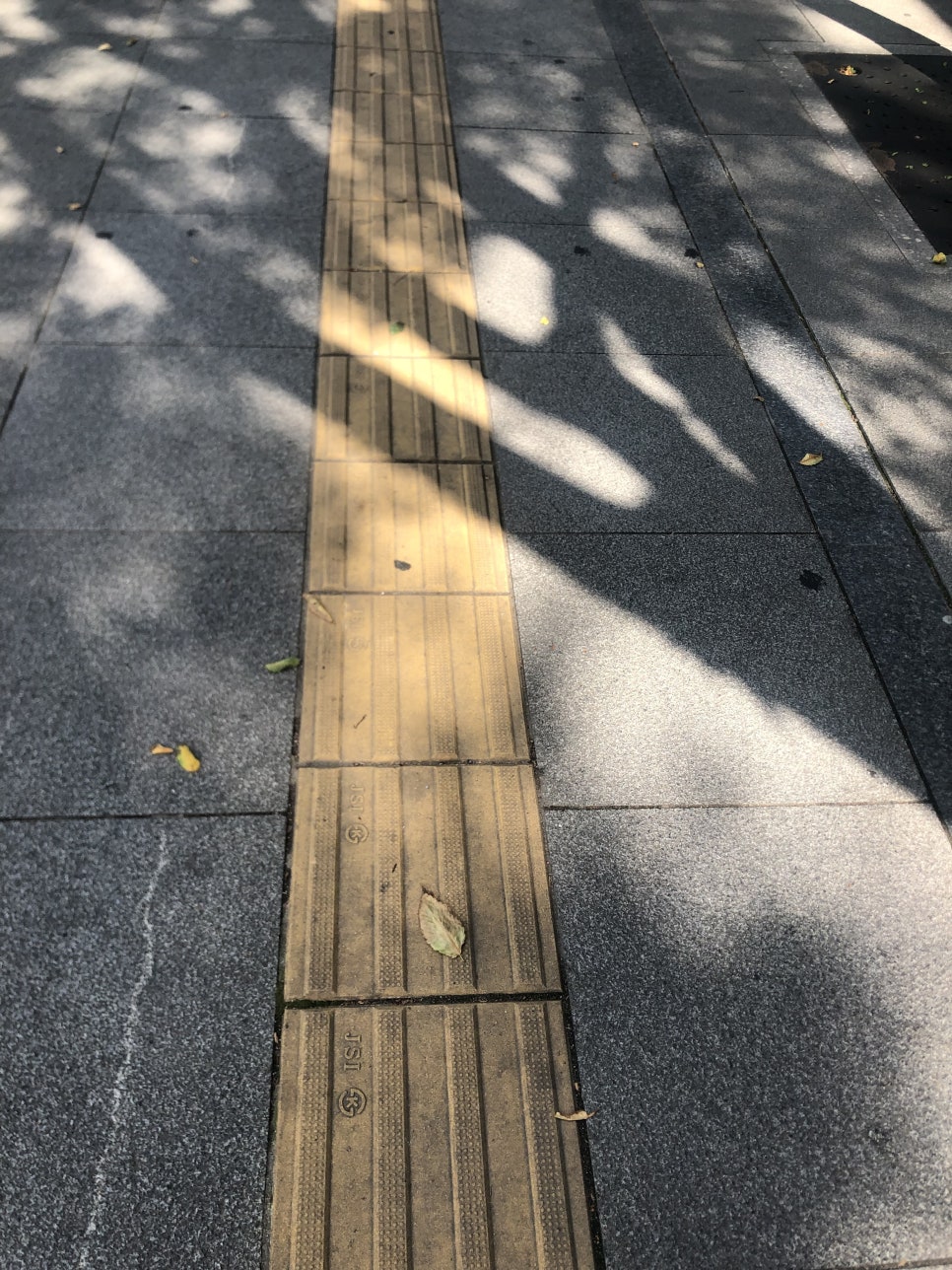 블리비의원 이미지