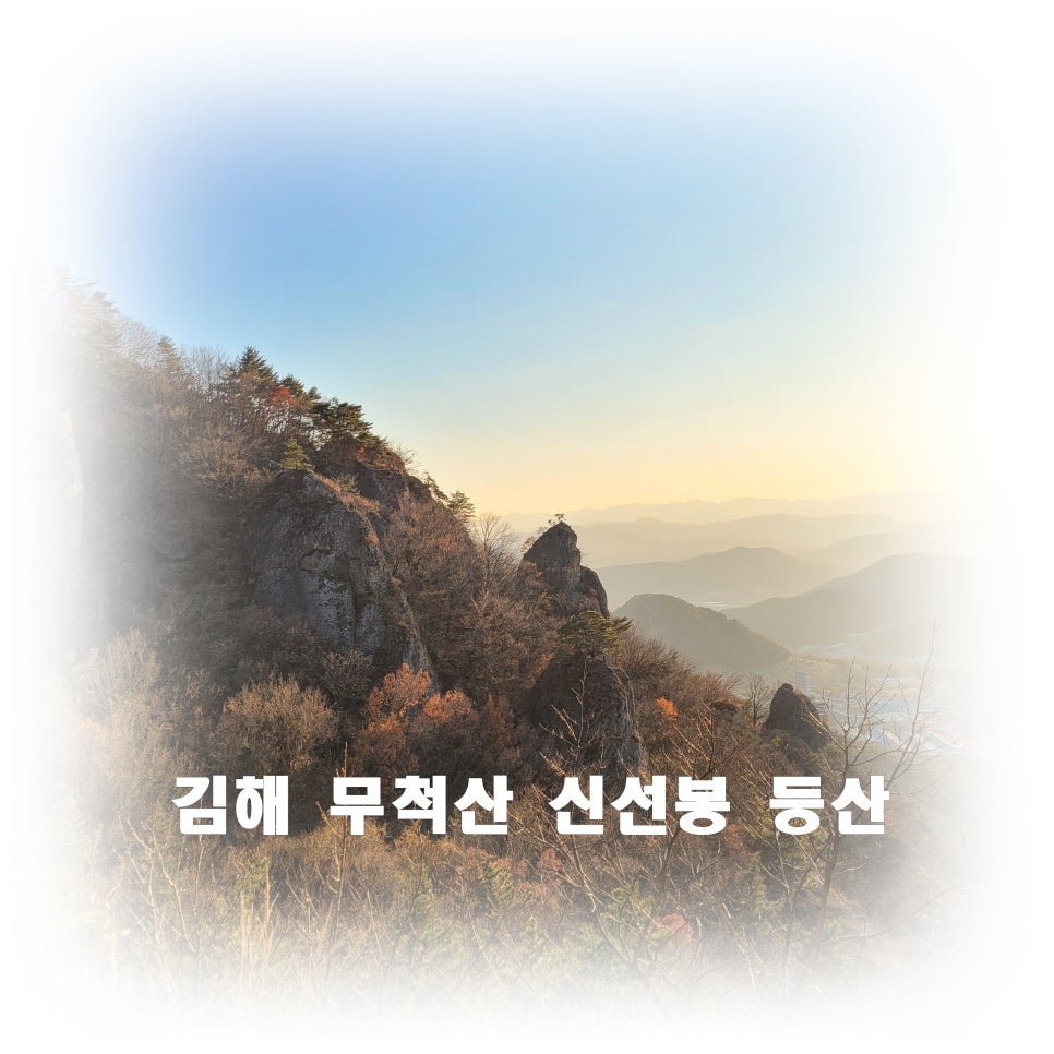 통천김밥 이미지