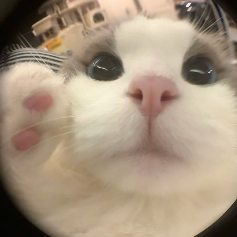 올리브스킨케어 이미지