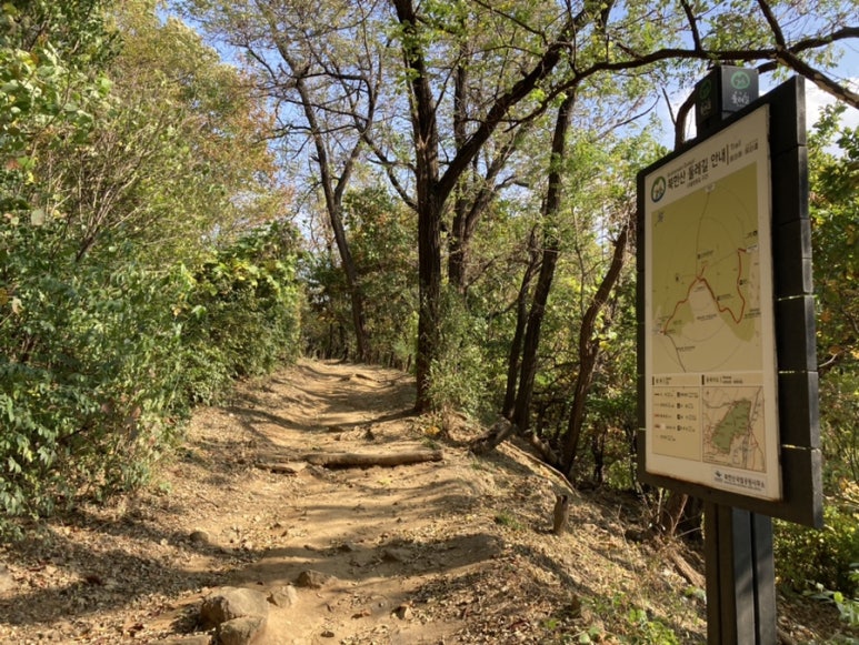 기자촌배수지 이미지