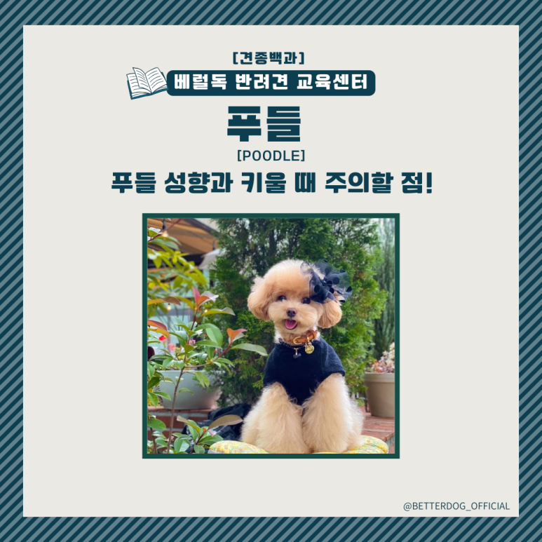 아이큐교육센터 이미지