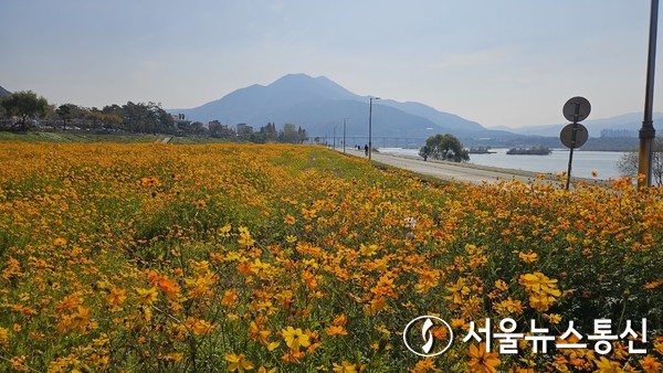노랑통신 이미지