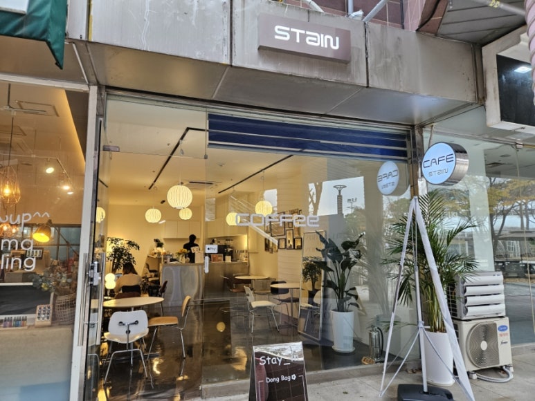 스테인동백 이미지