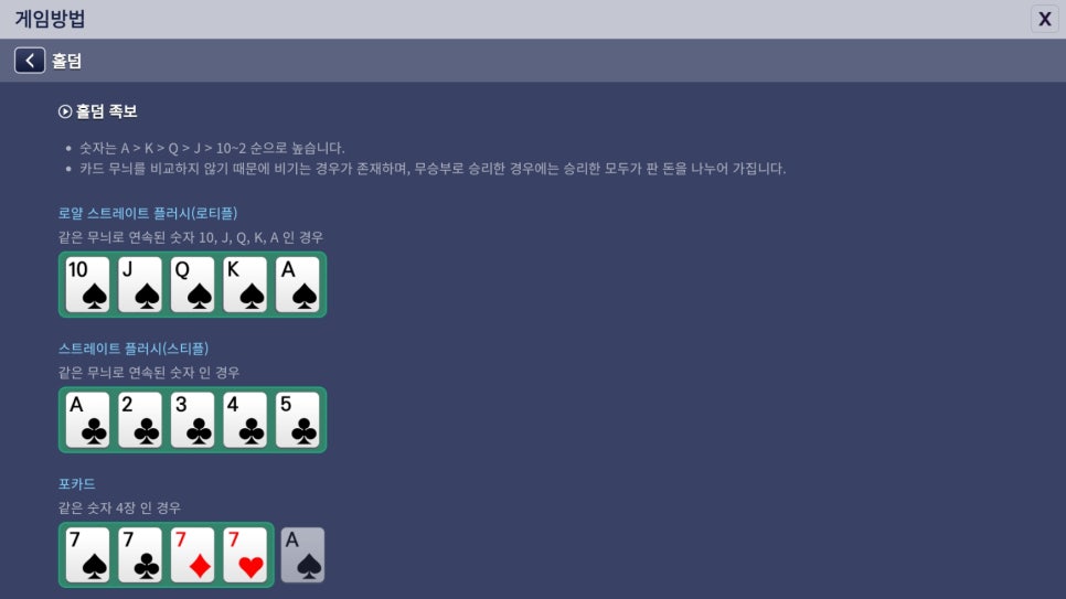 레이즈홀덤 이미지