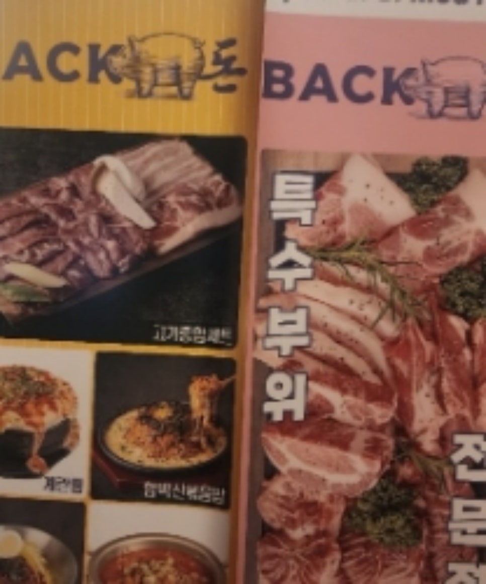 빽돈 이미지