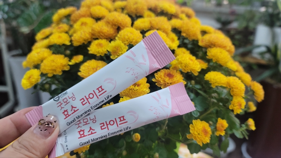 수수라이프 이미지