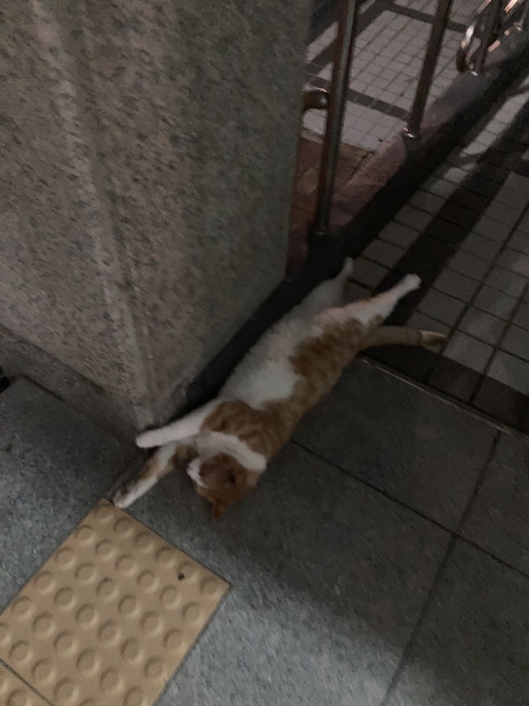 신통치킨 야당점 이미지
