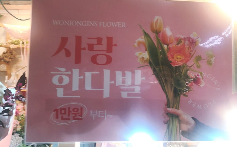 원종인의Flower 이미지