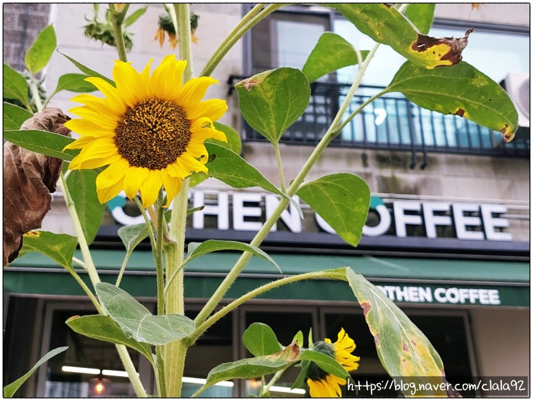 오든커피(OTHEN COFFEE) 이미지