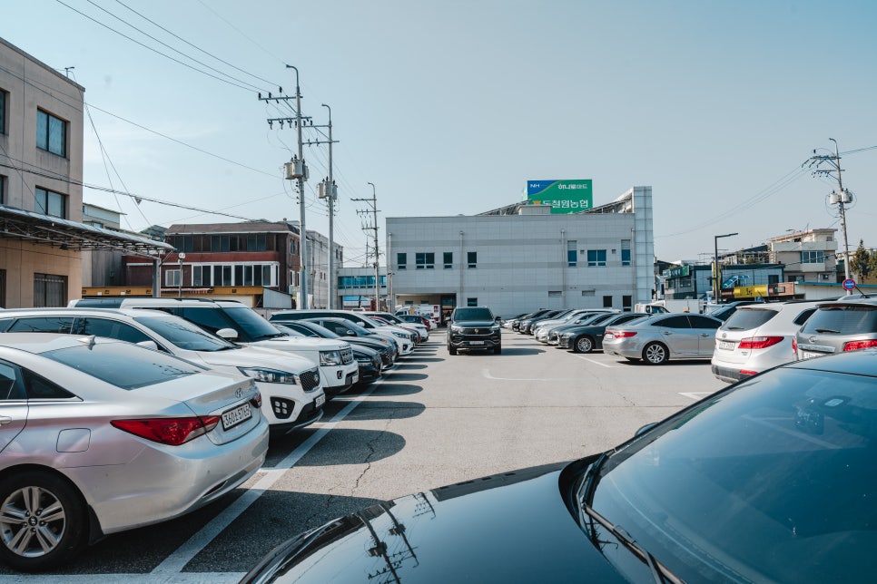 민통선한식부페 이미지