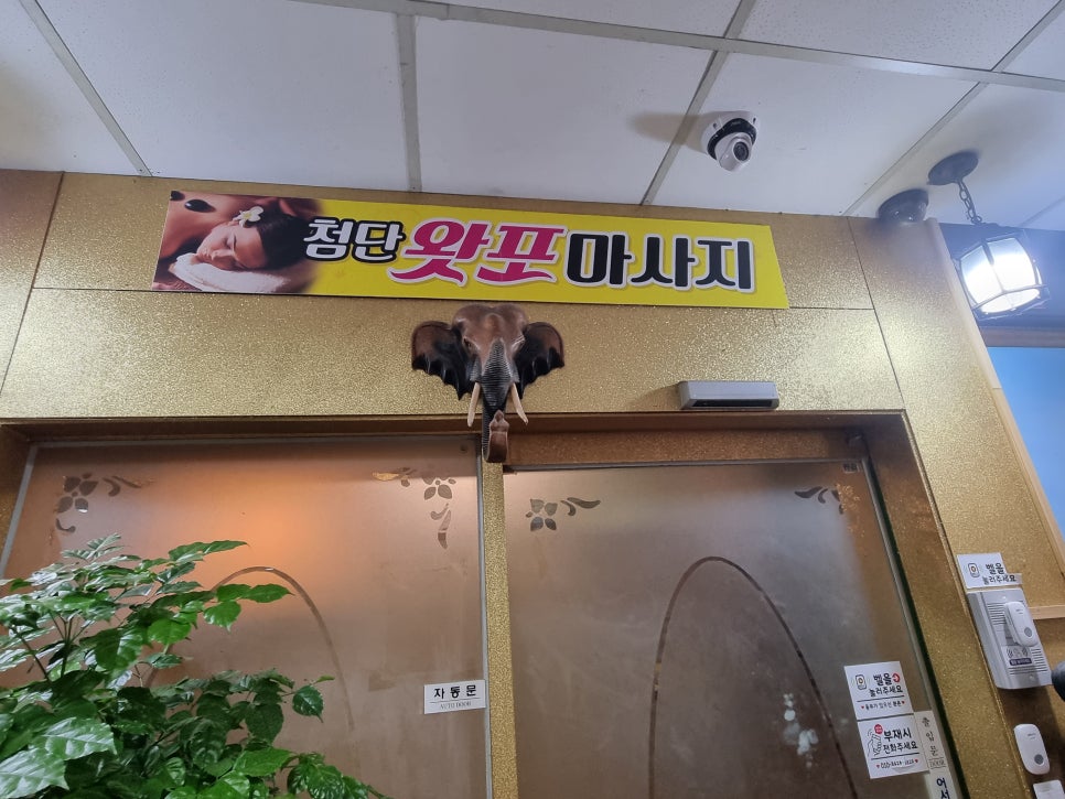 첨단왓포 이미지