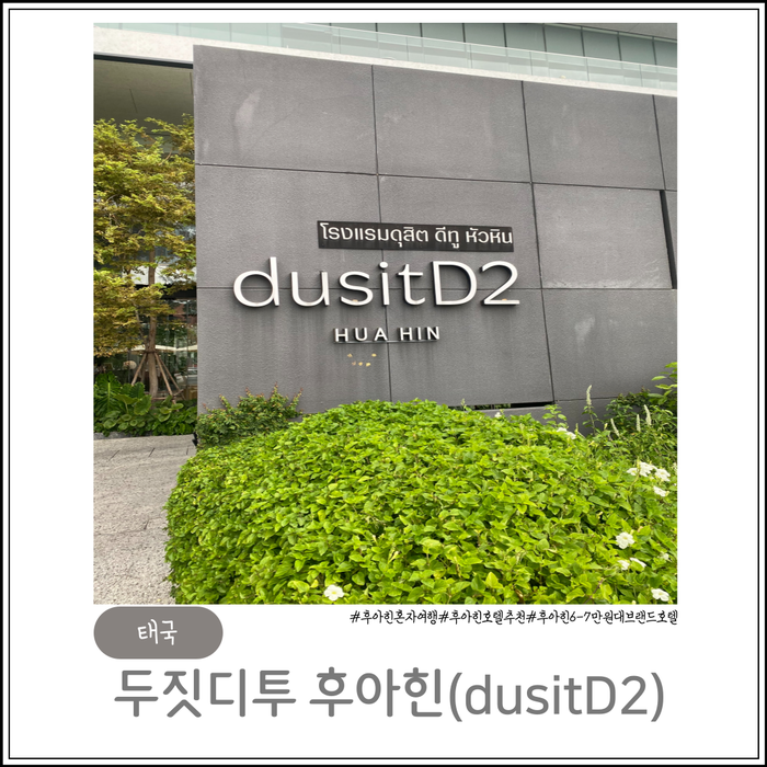 디투블루 이미지