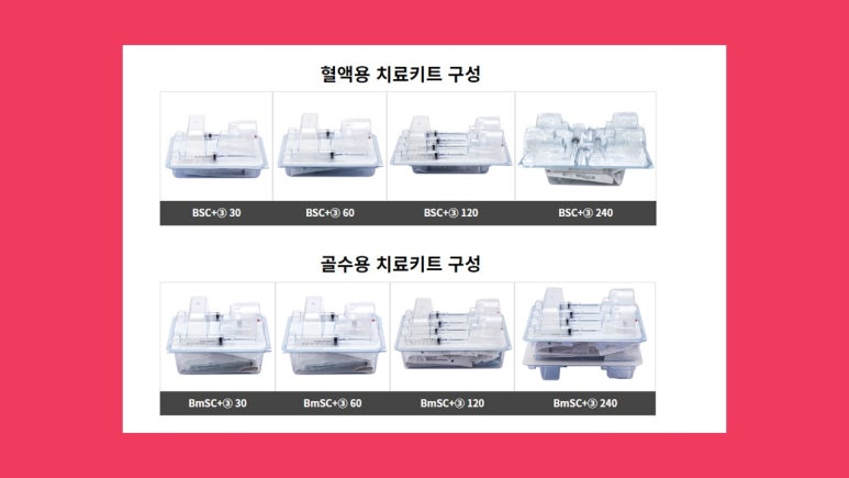 에스더블유개발 이미지