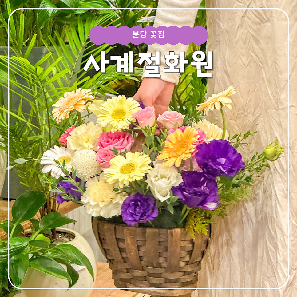 사계절화원 이미지