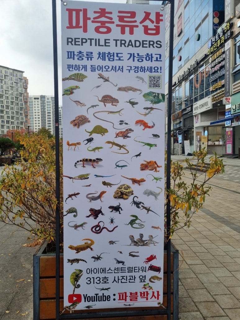 파블박사 이미지