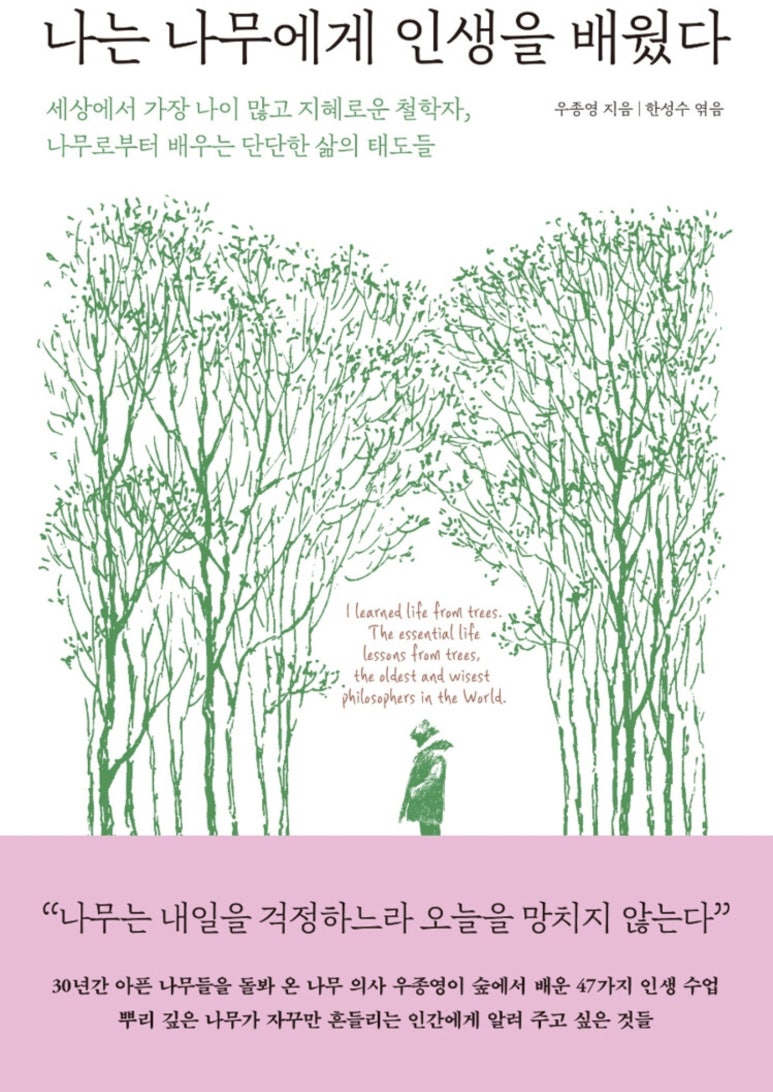 지나가다봄 이미지