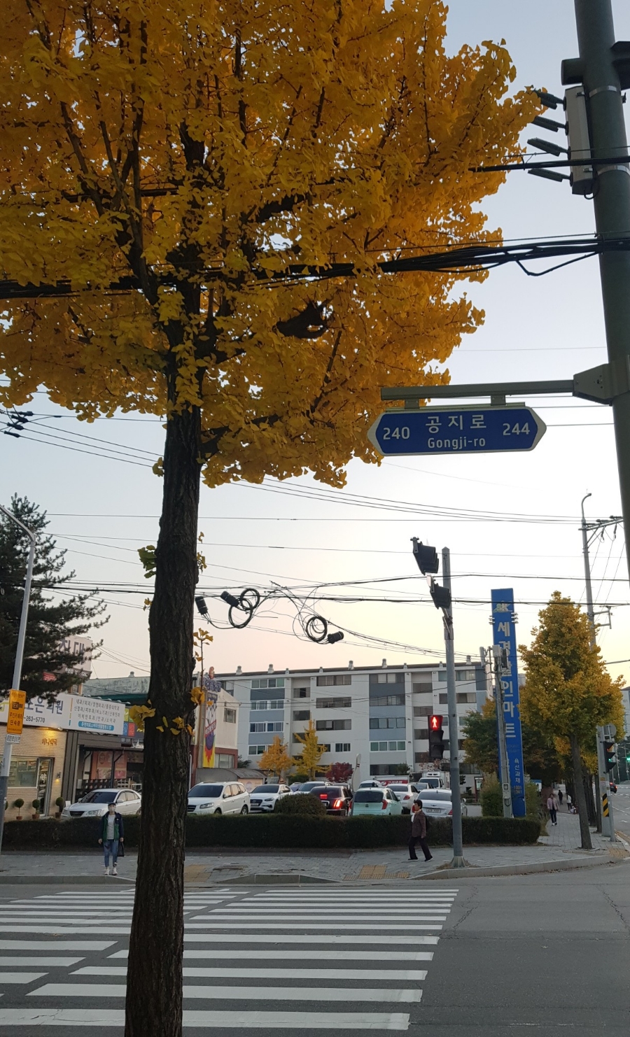 라왕푸 마라탕 이미지