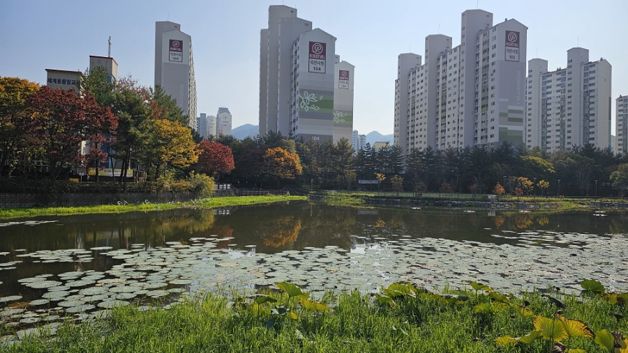 야호학산유아숲체험원 이미지