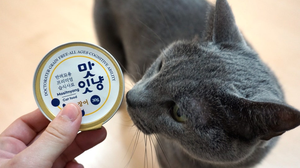 (주)인섹트바이오텍 이미지