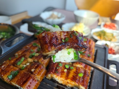 데일리장어 이미지