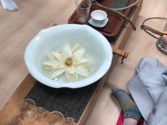 새빛행정사사무소 이미지