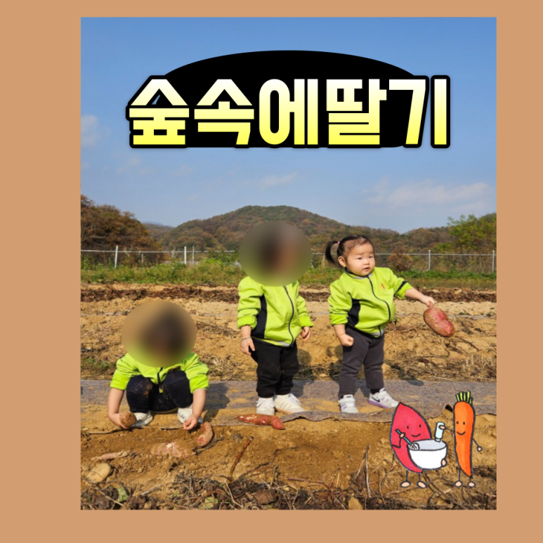 숲속에 딸기 이미지