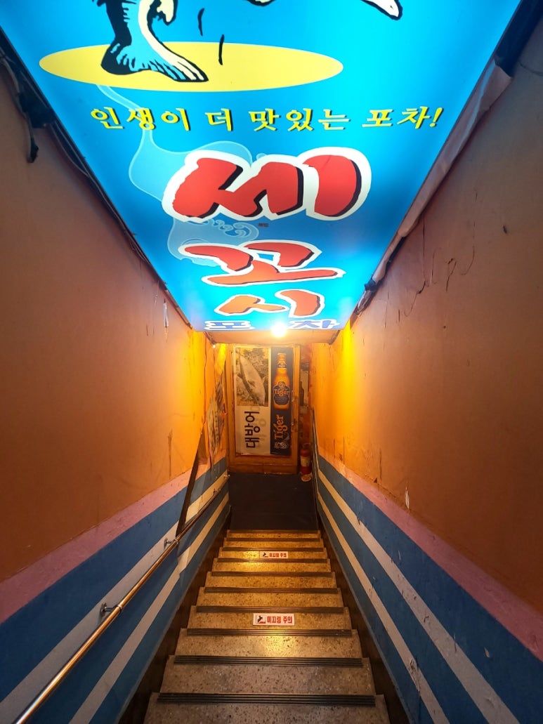 오징회세꼬시 이미지