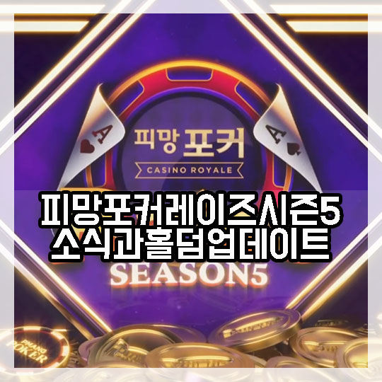 레이즈홀덤 이미지