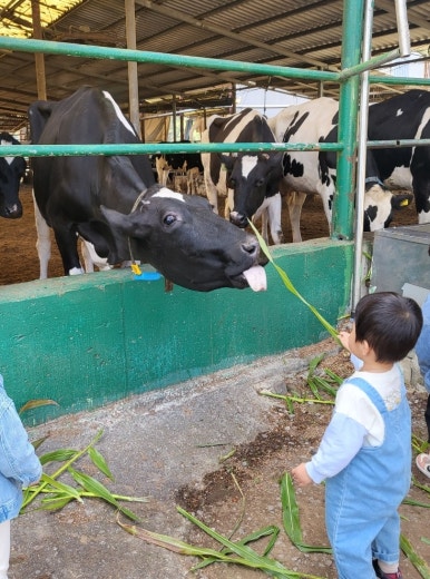 후사랑밀크(환희목장) 이미지