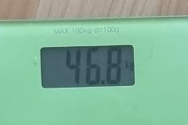 달려라토끼코인노래연습장 이미지