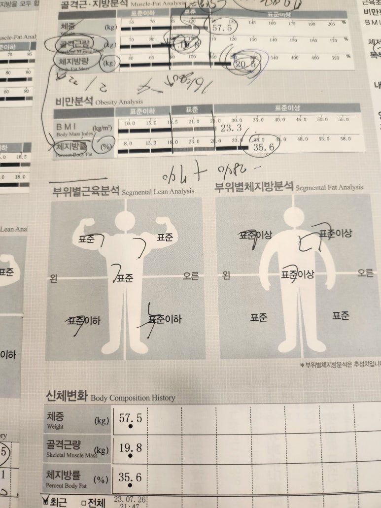 디에타PT 이미지