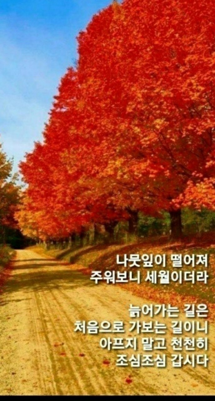 만포주유소 이미지