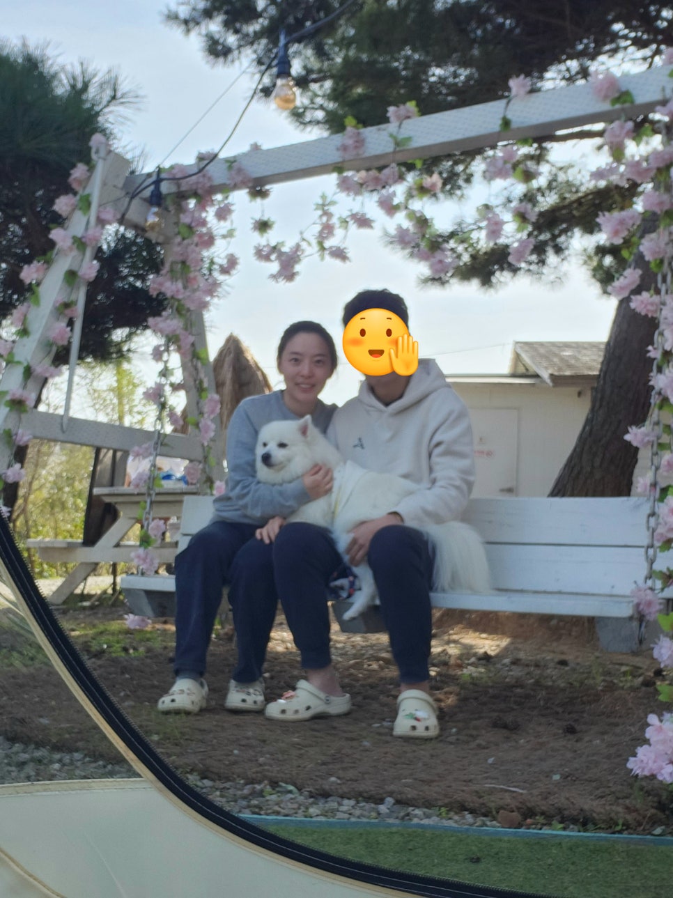 안면도N 이미지