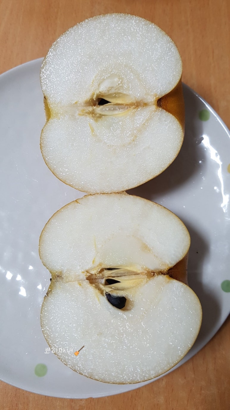 프리미어 농짱 이미지