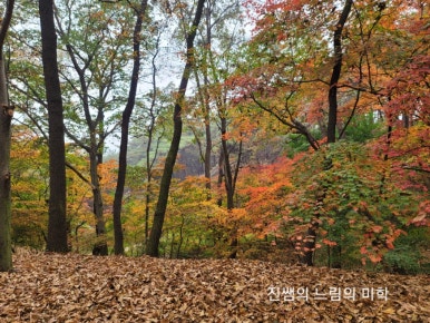 삼풍사 이미지