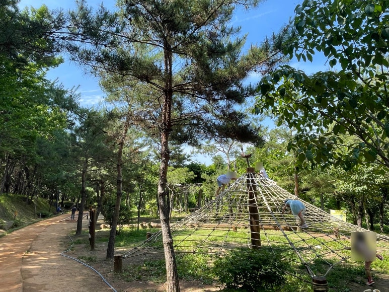 천년숲 유아숲체험원 이미지