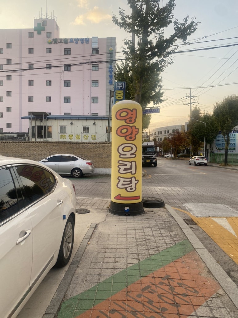 영양오리탕 이미지