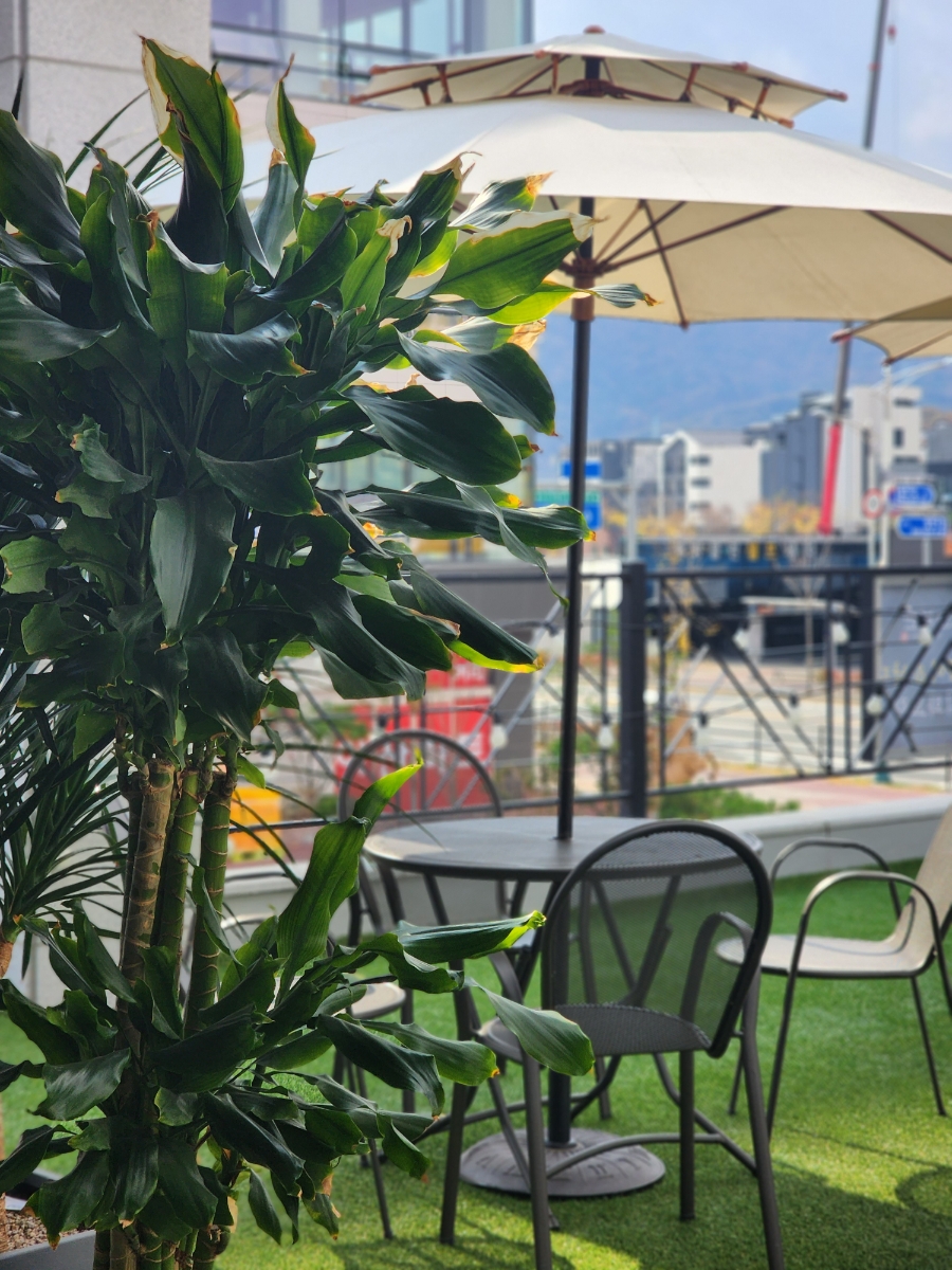신복관아산배방점 이미지